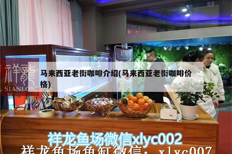 馬來(lái)西亞老街咖啡介紹(馬來(lái)西亞老街咖啡價(jià)格) 馬來(lái)西亞老街咖啡介紹(馬來(lái)西亞老街咖啡價(jià)格) 馬來(lái)西亞咖啡 第1張