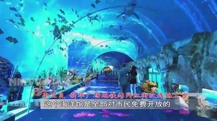 水族館免費開放（徐州市水族展覽館2023年11月13日至17日免費開放）