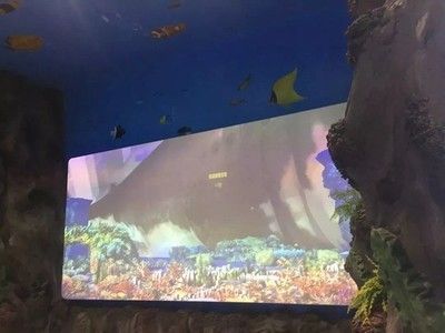 水族館免費開放（徐州市水族展覽館2023年11月13日至17日免費開放）