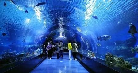 水族館免費開放（徐州市水族展覽館2023年11月13日至17日免費開放）