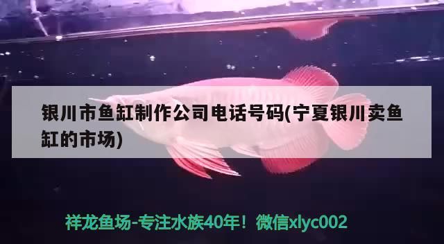 銀川市魚缸制作公司電話號碼(寧夏銀川賣魚缸的市場)