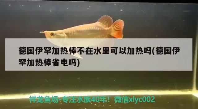 德國伊罕加熱棒不在水里可以加熱嗎(德國伊罕加熱棒省電嗎) 德國伊罕加熱棒不在水里可以加熱嗎(德國伊罕加熱棒省電嗎) 伊罕水族 第1張