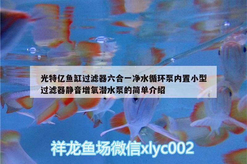 光特億魚缸過濾器六合一凈水循環泵內置小型過濾器靜音增氧潛水泵的簡單介紹 光特億魚缸過濾器六合一凈水循環泵內置小型過濾器靜音增氧潛水泵的簡單介紹 光特億
