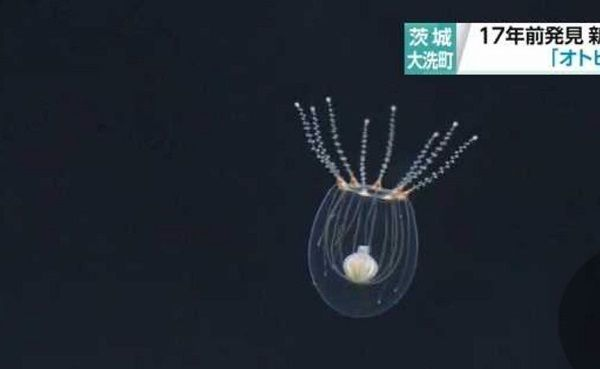 水族館里面有啥東西（水族館互動項目有哪些水族館水質管理技術有哪些）