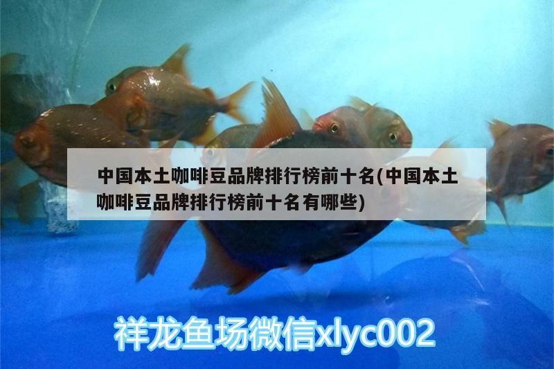 中國本土咖啡豆品牌排行榜前十名(中國本土咖啡豆品牌排行榜前十名有哪些) 中國本土咖啡豆品牌排行榜前十名(中國本土咖啡豆品牌排行榜前十名有哪些) 馬來西亞咖啡 第1張