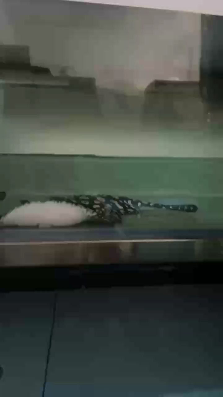 冬天更加多換水