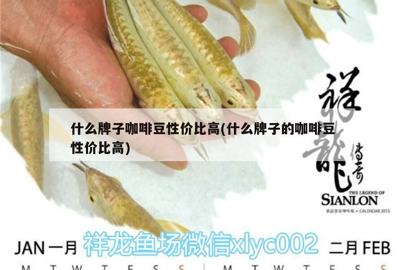 什么牌子咖啡豆性價比高(什么牌子的咖啡豆性價比高)