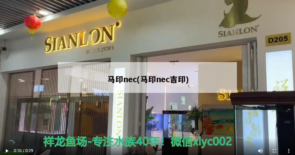 馬印nec(馬印nec吉印)