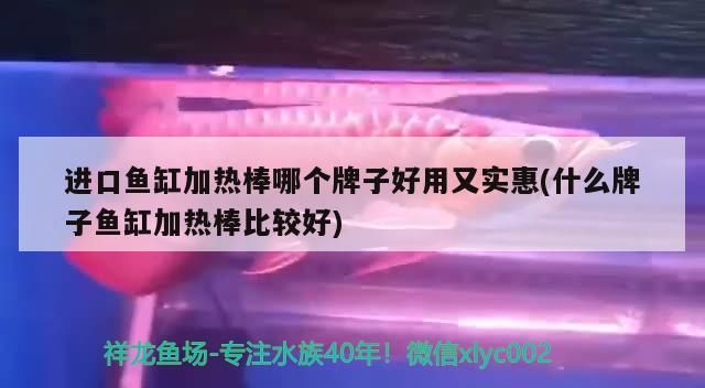 印尼虎魚(yú)多少溫度飼養(yǎng)最好:印尼虎魚(yú)多少溫度飼養(yǎng)最好印尼虎魚(yú)多少溫度飼養(yǎng)最好 進(jìn)口魚(yú)缸加熱棒哪個(gè)牌子好用又實(shí)惠(什么牌子魚(yú)缸加熱棒比較好) 元寶鳳凰魚(yú)百科 進(jìn)口魚(yú)缸加熱棒哪個(gè)牌子好用又實(shí)惠(什么牌子魚(yú)缸加熱棒比較好) 進(jìn)口魚(yú)缸加熱棒哪個(gè)牌子好用又實(shí)惠(什么牌子魚(yú)缸加熱棒比較好) 元寶鳳凰魚(yú)百科
