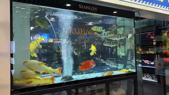 水族館加盟店排行榜及價(jià)格（水族館加盟店排行榜）