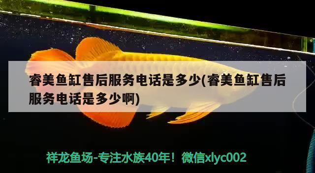 威海二手魚缸轉(zhuǎn)讓58同城信息（ 威海二手漁船出售轉(zhuǎn)讓信息）