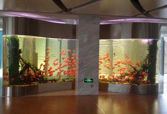 魚缸需要換水嗎,為什么要換水，不同魚種對換水頻率的要求魚缸換水后需要注意哪些事項？