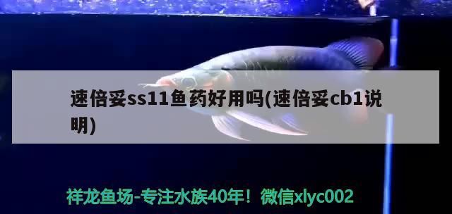 魚缸過濾器選購指南:自制魚缸過濾器魚缸上置過濾器對于養魚愛好者的必備知識 速倍妥ss11魚藥好用嗎(速倍妥cb1說明) 速倍妥 速倍妥ss11魚藥好用嗎(速倍妥cb1說明) 速倍妥ss11魚藥好用嗎(速倍妥cb1說明) 速倍妥