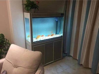 35厘米的魚缸用多大的燈：35厘米高度、55厘米寬度的魚缸燈選擇和使用注意問題
