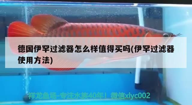 德國伊罕過濾器怎么樣值得買嗎(伊罕過濾器使用方法) 德國伊罕過濾器怎么樣值得買嗎(伊罕過濾器使用方法) 伊罕水族
