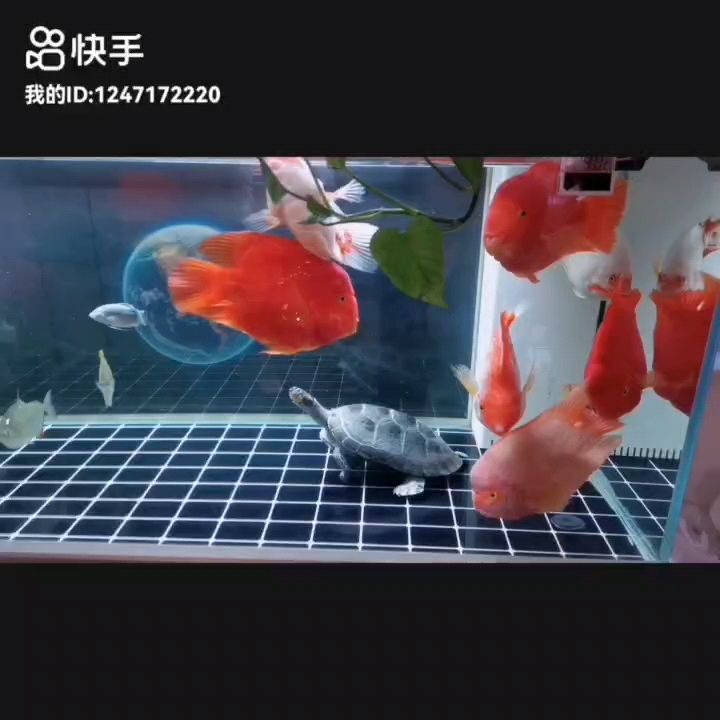 今天冬至，事事順遂，會越來越好，南無阿彌陀佛??????
