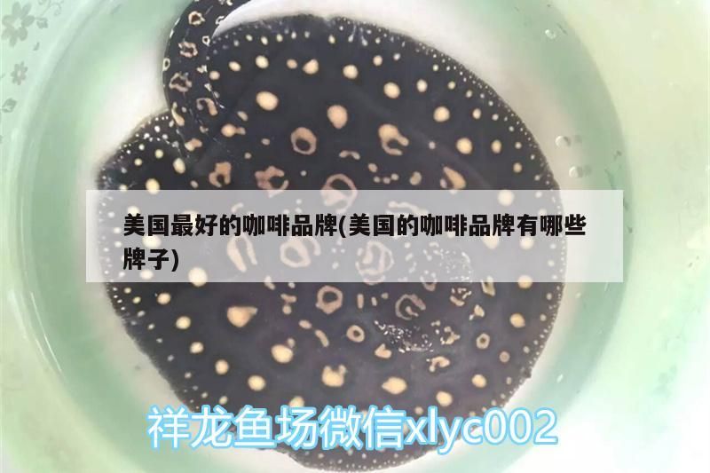 美國最好的咖啡品牌(美國的咖啡品牌有哪些牌子)