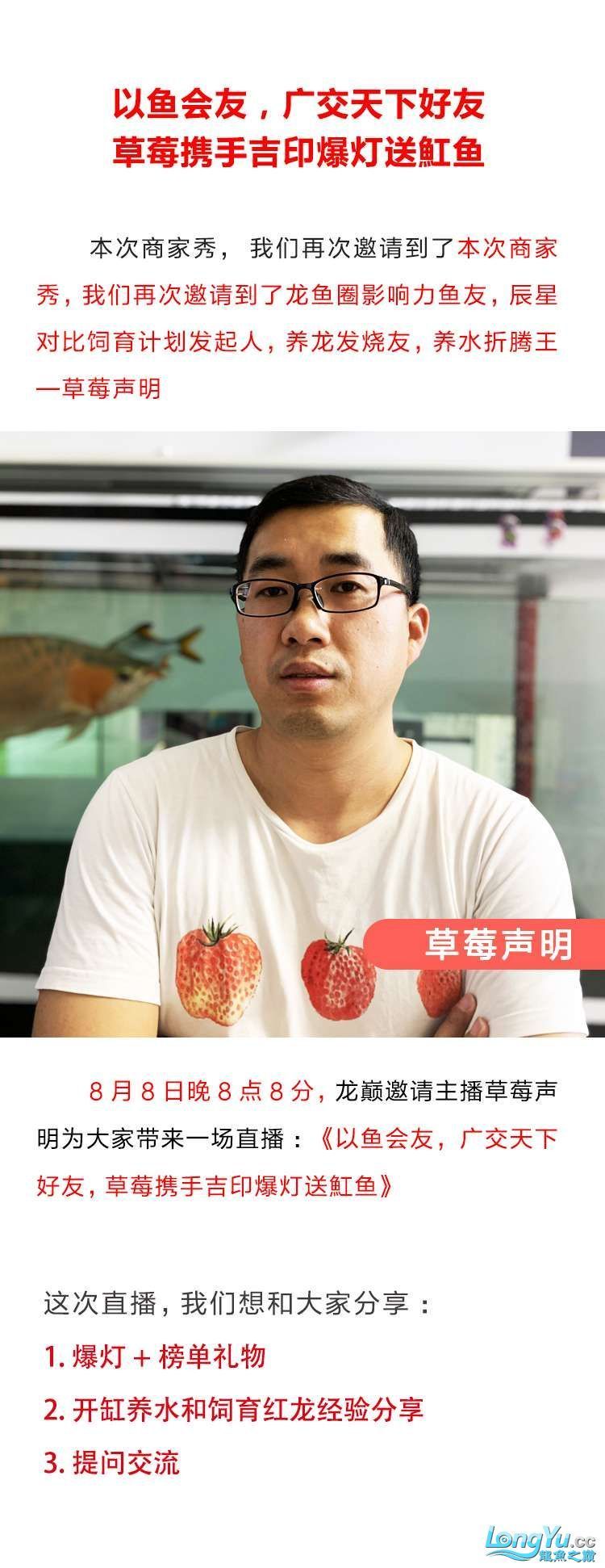 以魚會友廣交天下好友:草莓攜手吉印爆燈送魟魚 以魚會友廣交天下好友:草莓攜手吉印爆燈送魟魚 吉印水族 第2張