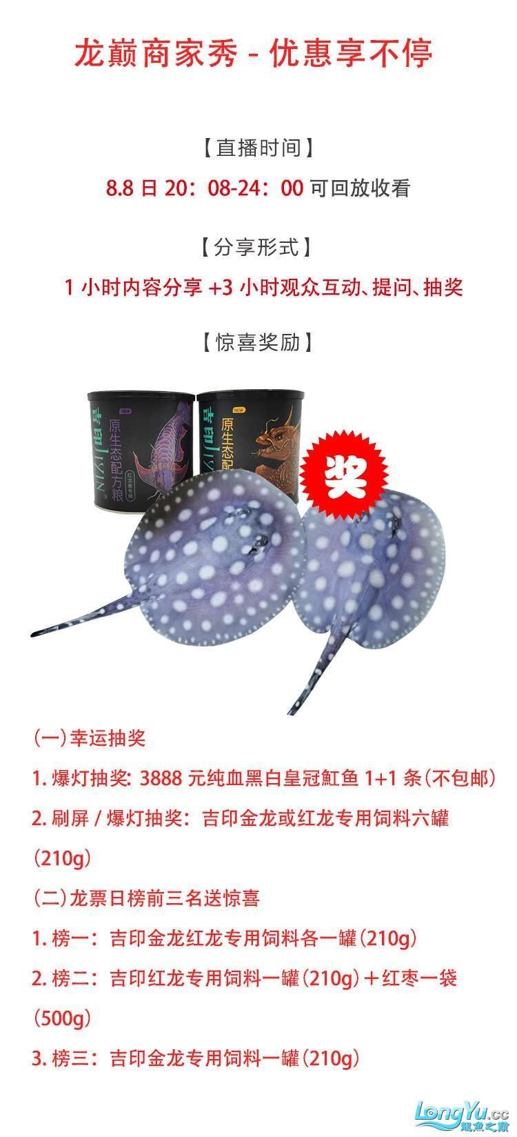 以魚會友廣交天下好友:草莓攜手吉印爆燈送魟魚 以魚會友廣交天下好友:草莓攜手吉印爆燈送魟魚 吉印水族 第3張