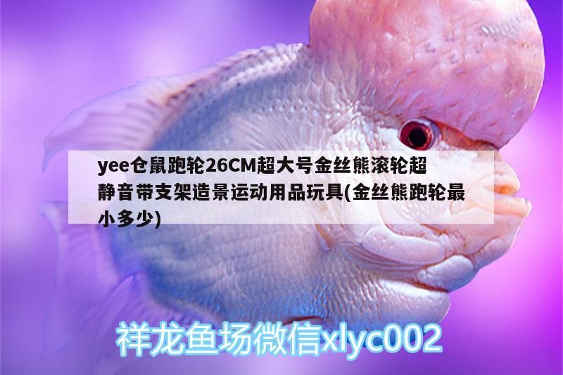 yee倉鼠跑輪26CM超大號金絲熊滾輪超靜音帶支架造景運動用品玩具(金絲熊跑輪最小多少) yee倉鼠跑輪26CM超大號金絲熊滾輪超靜音帶支架造景運動用品玩具(金絲熊跑輪最小多少) yee