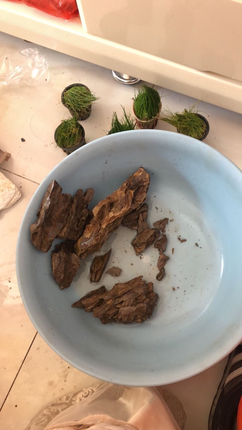 烏龜開心的表現是什么怎么讓烏龜開心