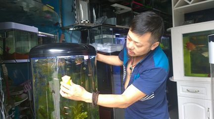 水族館老板:水族館老板的職業技能 水族館百科(水族館加盟) 第5張 水族館老板:水族館老板的職業技能 水族館老板:水族館老板的職業技能 水族館百科(水族館加盟) 第5張