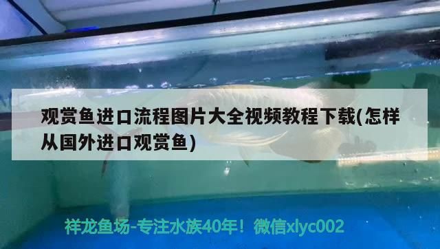 魚缸黑背景黑底可以養(yǎng)什么魚（臥室墻背景色是綠色,搭配什么 顏色窗簾）