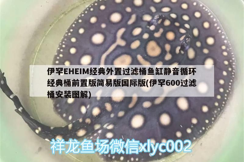 伊罕EHEIM經(jīng)典外置過濾桶魚缸靜音循環(huán)經(jīng)典桶前置版簡易版國際版(伊罕600過濾桶安裝圖解) 伊罕EHEIM經(jīng)典外置過濾桶魚缸靜音循環(huán)經(jīng)典桶前置版簡易版國際版(伊罕600過濾桶安裝圖解) 伊罕水族