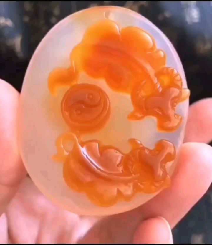 西固區柒星照花卉店