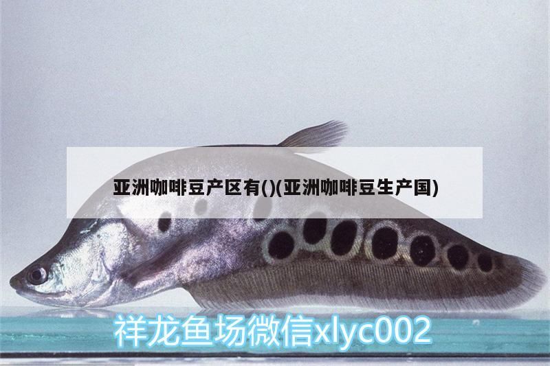 亞洲咖啡豆產區有()(亞洲咖啡豆生產國)
