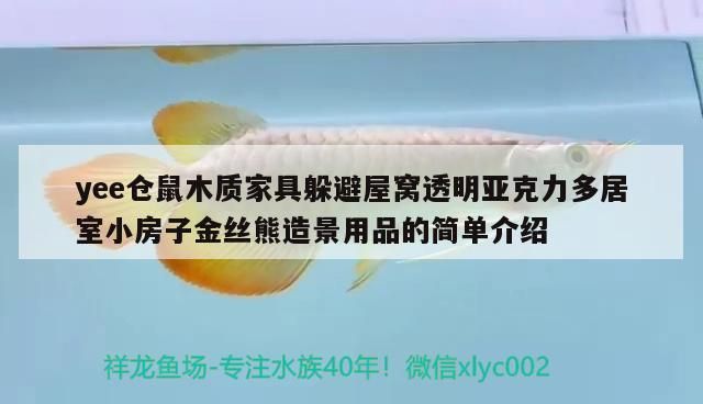 yee倉(cāng)鼠木質(zhì)家具躲避屋窩透明亞克力多居室小房子金絲熊造景用品的簡(jiǎn)單介紹 yee 第2張 yee倉(cāng)鼠木質(zhì)家具躲避屋窩透明亞克力多居室小房子金絲熊造景用品的簡(jiǎn)單介紹 yee倉(cāng)鼠木質(zhì)家具躲避屋窩透明亞克力多居室小房子金絲熊造景用品的簡(jiǎn)單介紹 yee 第2張