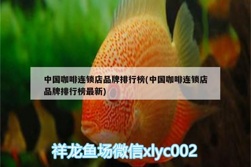 中國咖啡連鎖店品牌排行榜(中國咖啡連鎖店品牌排行榜最新)