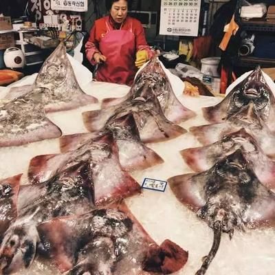 魟魚不長個(gè) 肝臟發(fā)黑：[需手動(dòng)填充]魚遇到生長停滯和肝臟病變的問題可能是多種因素引起的