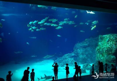 水族館英文怎么說(shuō)（aquarium水族館）