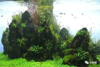 ADA魚缸造景石：ada魚缸造景石的種類及其特點 ADA魚缸造景石：ada魚缸造景石的種類及其特點 魚缸百科 第1張