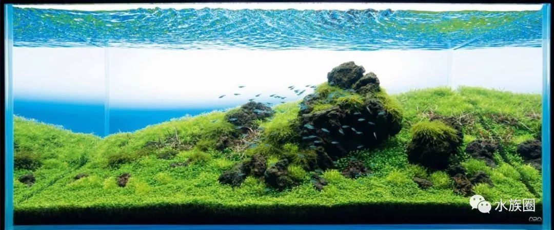 ADA魚缸造景石：ada魚缸造景石的種類及其特點 ADA魚缸造景石：ada魚缸造景石的種類及其特點 魚缸百科 第4張