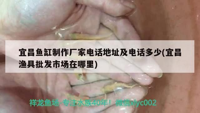 龍魚干蝦有營養嗎 宜昌魚缸制作廠家電話地址及電話多少(宜昌漁具批發市場在哪里) 九鼎魚缸 宜昌魚缸制作廠家電話地址及電話多少(宜昌漁具批發市場在哪里) 宜昌魚缸制作廠家電話地址及電話多少(宜昌漁具批發市場在哪里) 九鼎魚缸
