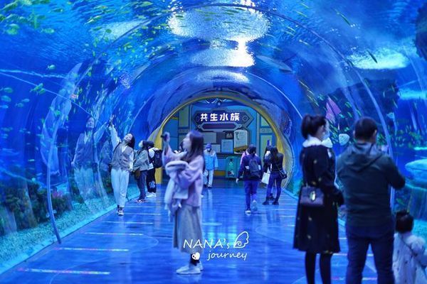 水族館哪個地方的好玩：全球著名的水族館 水族館哪個地方的好玩：全球著名的水族館 水族館百科（水族館加盟） 第1張