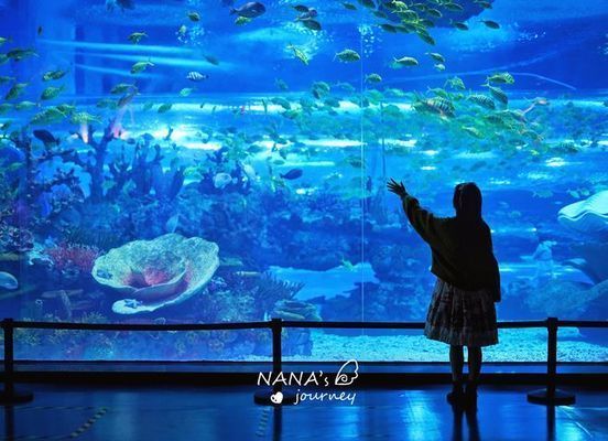 水族館哪個地方的好玩：全球著名的水族館 水族館哪個地方的好玩：全球著名的水族館 水族館百科（水族館加盟） 第3張