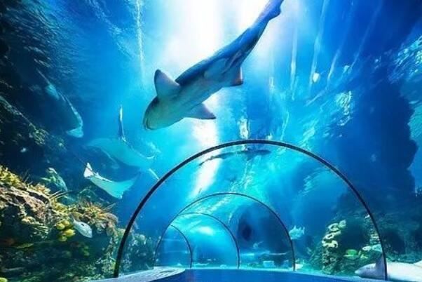 水族館牌子圖片大全：水族館招牌設(shè)計靈感來源,水族館門頭素材版權(quán)問題