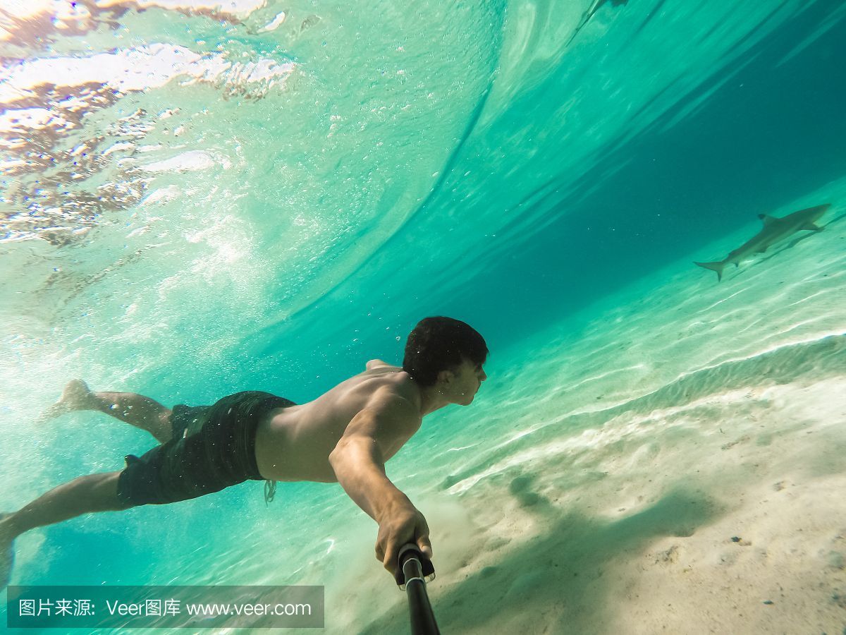 魟魚浮在水面不動：魟魚浮在水面不動是什么原因？