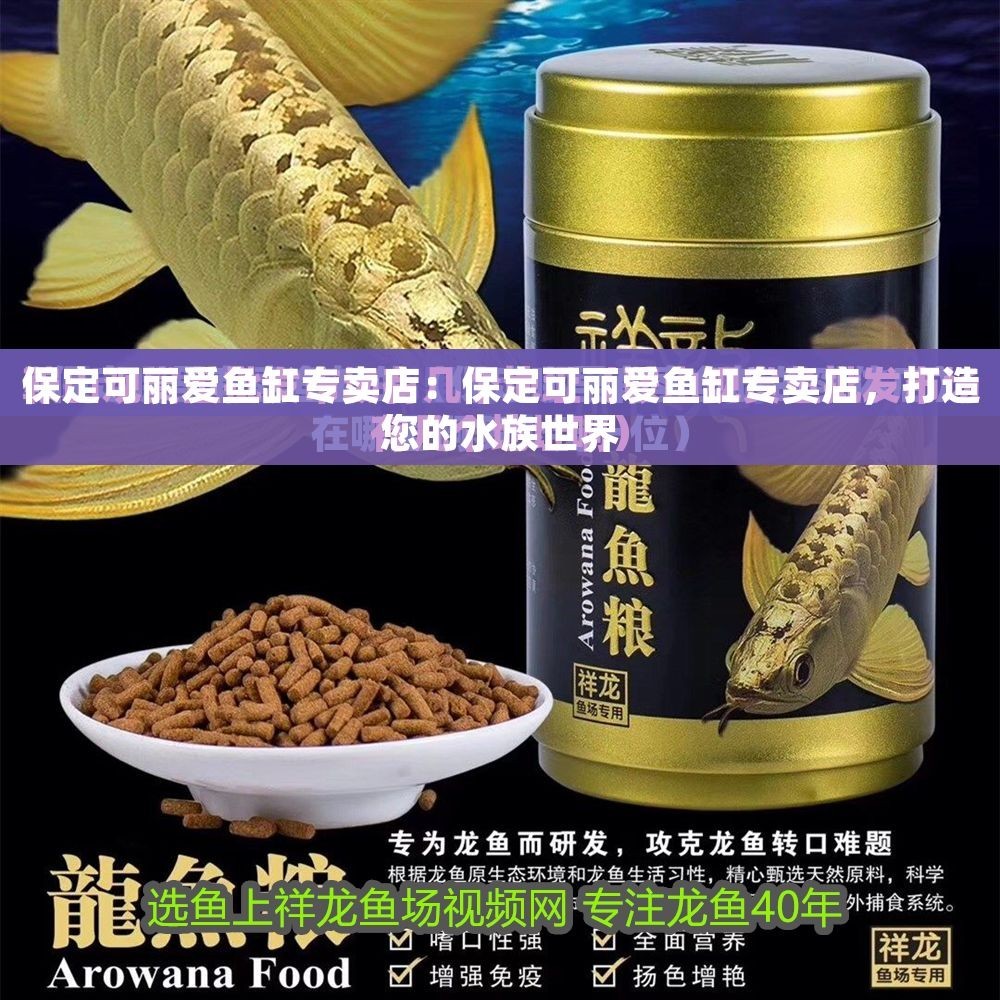 保定可麗愛魚缸專賣店：保定可麗愛魚缸專賣店，打造您的水族世界