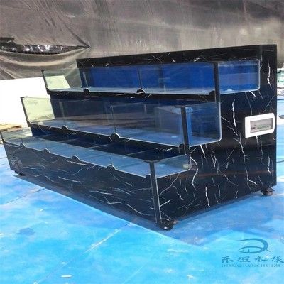 魟魚魚池：魟魚魚池的建設與養護 魟魚魚池：魟魚魚池的建設與養護 魟魚百科 第1張