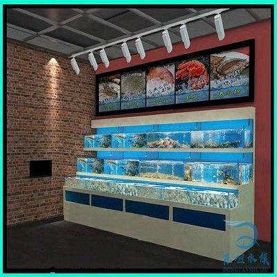 魟魚魚池：魟魚魚池的建設與養護 魟魚魚池：魟魚魚池的建設與養護 魟魚百科 第3張