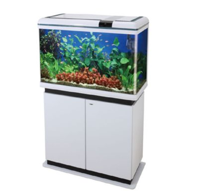 水族館生物過濾系統的最新進展（水族館生物過濾系統的發展趨勢）
