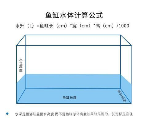 龍魚魚缸寬度標準vs祥龍魚場：龍魚魚缸寬度標準與祥龍魚場的關系