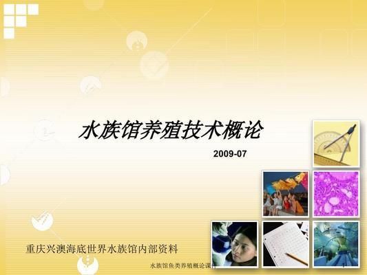 水族館尺寸：全球知名的大型水族館尺寸和規模可以從多個角度來了解 水族館尺寸：全球知名的大型水族館尺寸和規模可以從多個角度來了解 水族館百科（水族館加盟） 第3張