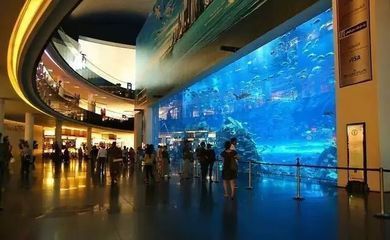 水族館尺寸：全球知名的大型水族館尺寸和規模可以從多個角度來了解 水族館尺寸：全球知名的大型水族館尺寸和規模可以從多個角度來了解 水族館百科（水族館加盟） 第5張