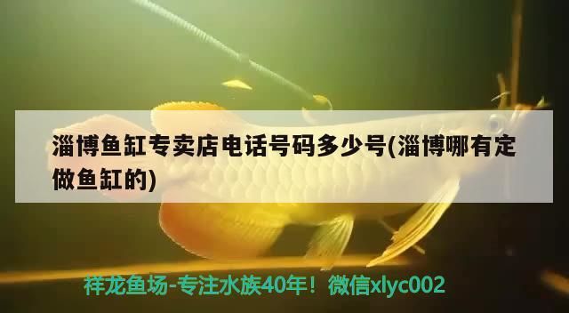 淄博魚缸專賣店電話號碼多少號(淄博哪有定做魚缸的) 淄博魚缸專賣店電話號碼多少號(淄博哪有定做魚缸的) 九鼎魚缸
