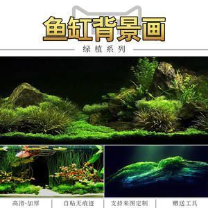 愛唯希魚缸質量評價如何樣（愛唯希魚缸質量評價如何樣啊）